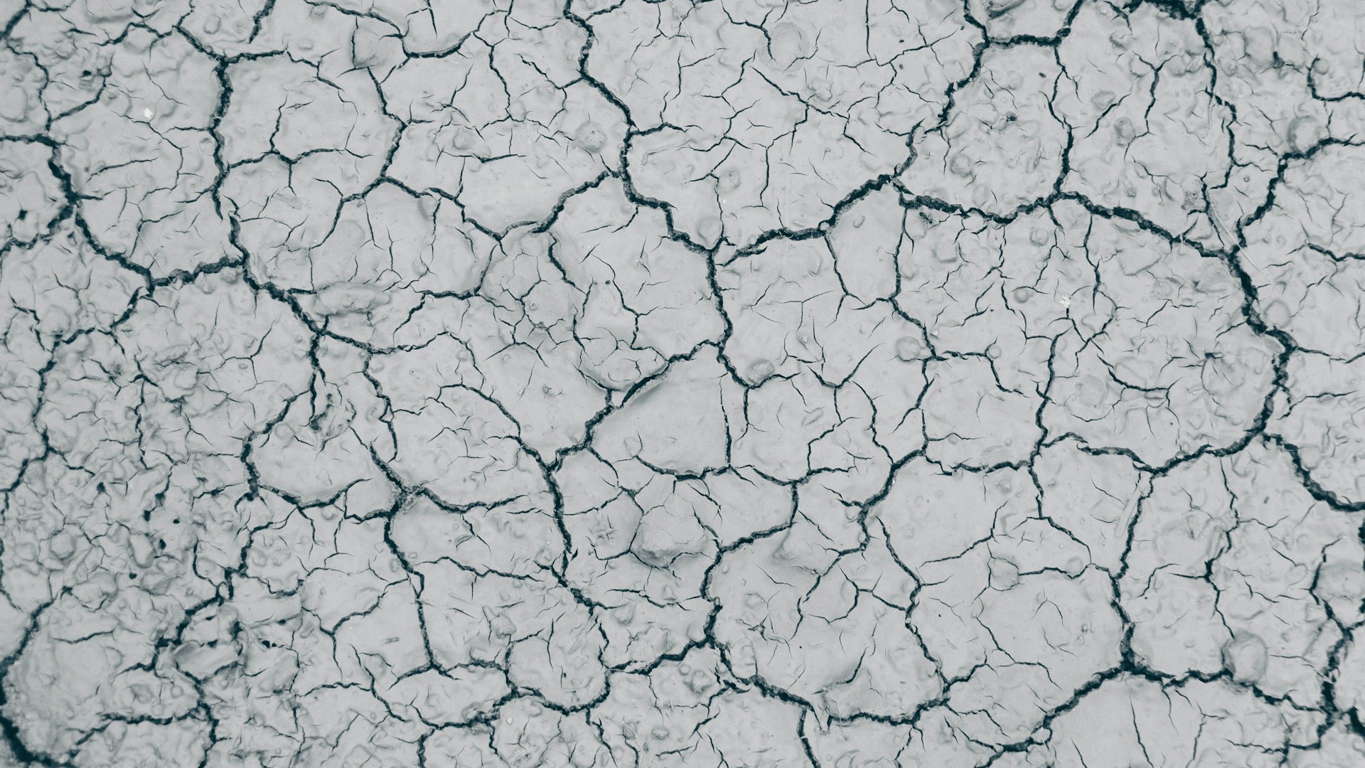 https://gerencia.horasis.org/wp-content/uploads/2024/01/rishabh-mathew-wB5__7GaZgk-unsplash.jpg
